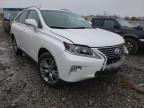 2013 LEXUS  RX350