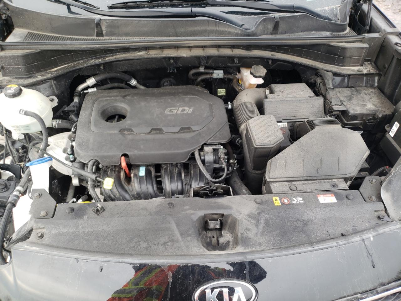 Global Auto Auctions