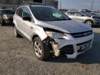 2013 FORD  ESCAPE