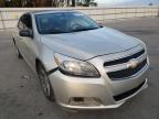 2013 CHEVROLET  MALIBU