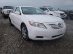 2009 TOYOTA  CAMRY