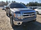 2013 FORD  F-150