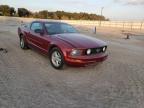 2006 FORD  MUSTANG