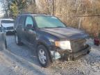 2009 FORD  ESCAPE