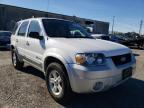 2006 FORD  ESCAPE