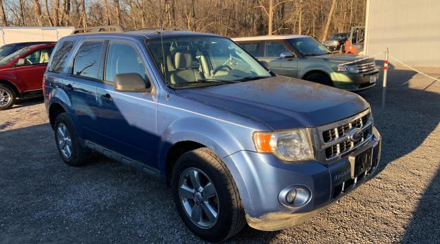 Ford Escape Blue 2010