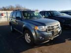 2010 FORD  ESCAPE