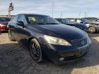 2007 LEXUS  ES350