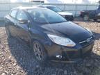 2013 FORD  FOCUS