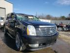 2007 CADILLAC  ESCALADE