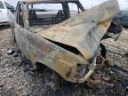 Lot #1312420559 1996 FORD F150