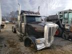 2020 PETERBILT  389