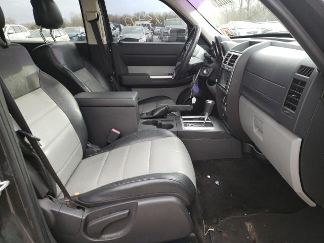 2010 DODGE NITRO SXT 1D4PU5GX7AW130510
