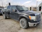 2010 FORD  F-150