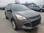 2013 FORD  ESCAPE