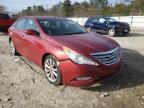 2011 HYUNDAI  SONATA