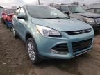 2013 FORD  ESCAPE