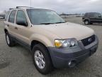 2007 FORD  ESCAPE