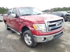 2014 FORD  F-150