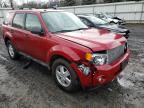 2010 FORD  ESCAPE