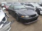 2001 FORD  MUSTANG