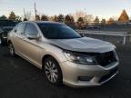 2013 HONDA  ACCORD