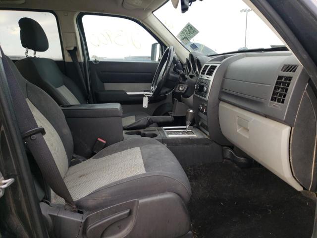 2010 DODGE NITRO SXT 1D4PT5GK5AW126317