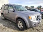 2008 FORD  ESCAPE