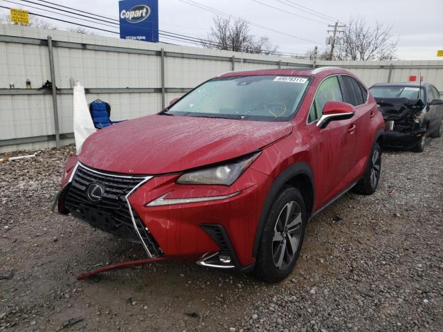 2019 LEXUS NX 300 BAS - JTJBARBZXK2196765