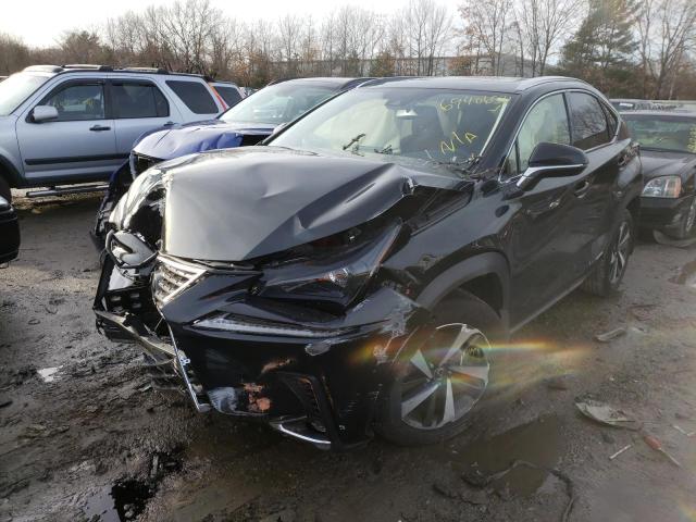 2020 LEXUS NX 300H JTJGJRDZXL2140779