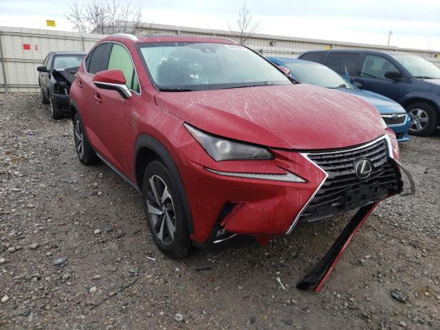 2019 LEXUS NX 300 BAS - JTJBARBZXK2196765