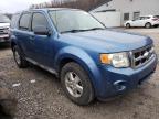 2009 FORD  ESCAPE