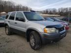 2004 FORD  ESCAPE