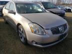 2006 NISSAN  MAXIMA