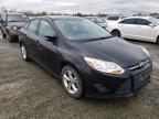 2013 FORD  FOCUS