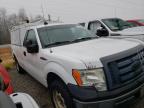 2010 FORD  F150