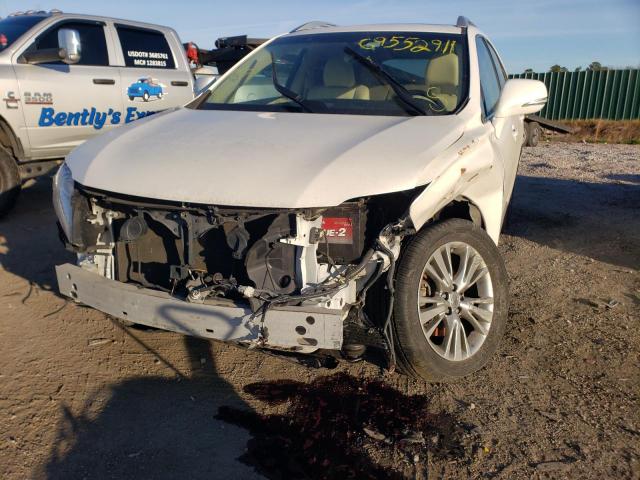 Фото: JTJZK1BA5E2011422 - 9