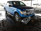 2010 FORD  F-150