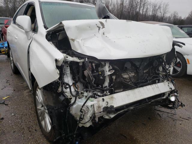 2010 LEXUS RX 450 JTJBC1BA0A2022904
