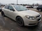 2010 CHEVROLET  MALIBU