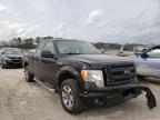 2013 FORD  F-150