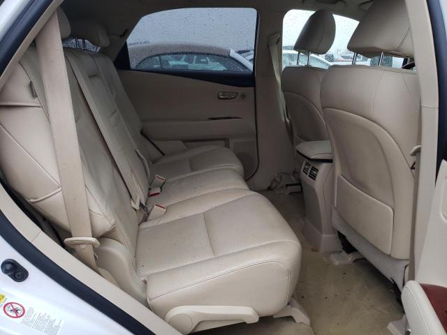 2010 LEXUS RX 450 JTJBC1BA0A2022904