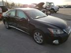 2010 LEXUS  ES350