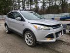 2013 FORD  ESCAPE