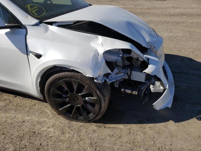 2021 TESLA MODEL Y 5YJYGDEE5MF161624