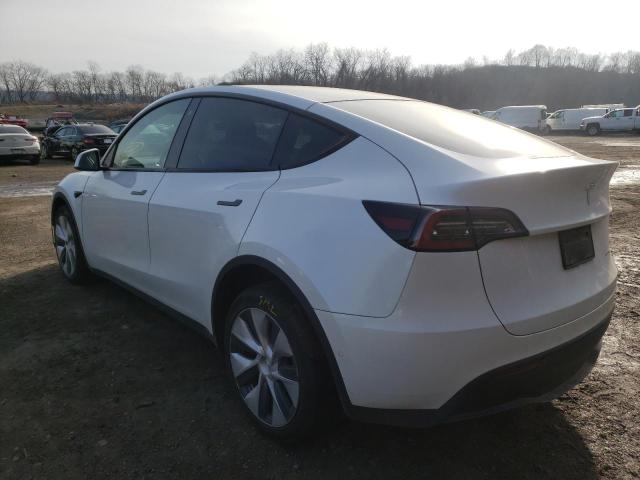 2020 TESLA MODEL Y 5YJYGDEE1LF009645