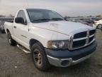 DODGE RAM 1500 2003 foto