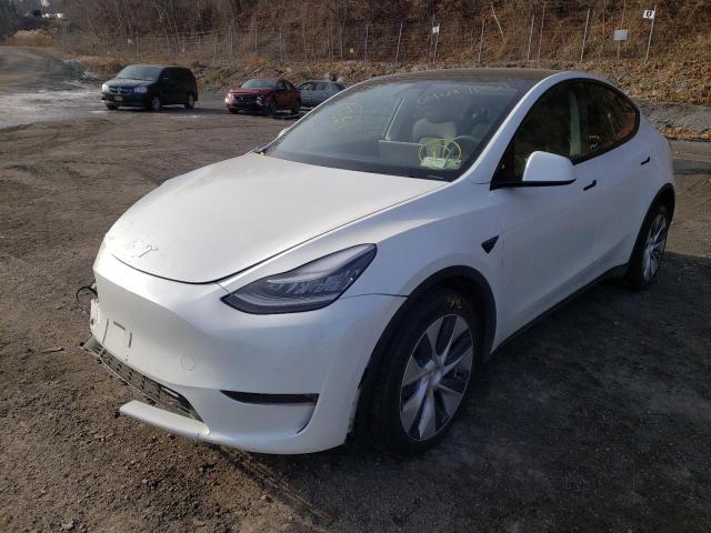 2020 TESLA MODEL Y 5YJYGDEE1LF009645