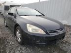 2006 HONDA  ACCORD