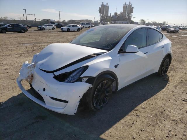 2021 TESLA MODEL Y 5YJYGDEE5MF161624